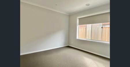 For Lease - Young & Spacious! - Photo 2