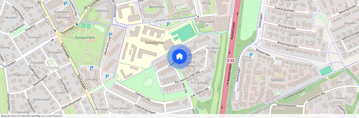 Lauritz Weibulls väg, Lund