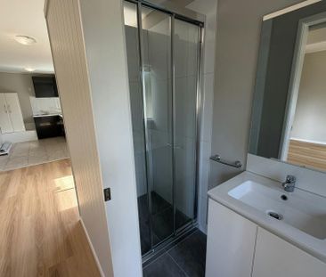 Studio Style Living! - Photo 3