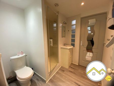 Location Appartement 1 pièce 28m² CHATEAUBRIANT 44110 - Photo 5