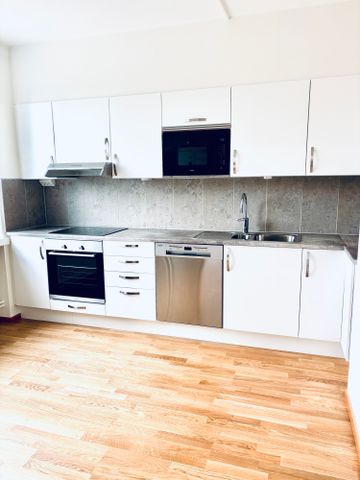 Södra Stenbocksgatan, Helsingborg - Photo 4