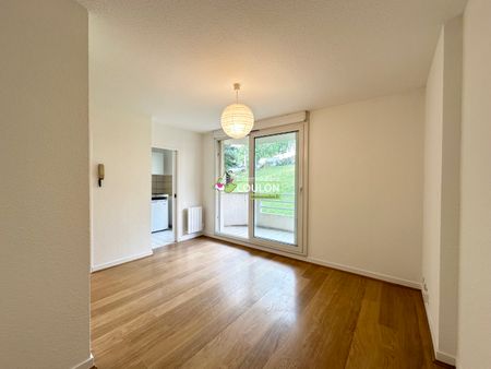 Location Appartement 1 pièce 21m² - Photo 5