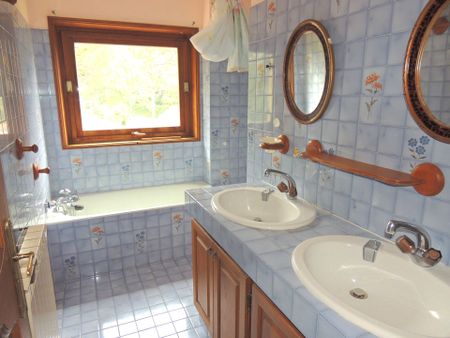 Location Maison 6 pièces 171m² PEYRINS 26380 - Photo 3