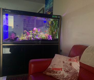 East Perth - Photo 2