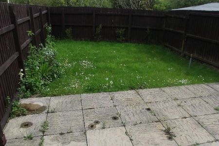 2 bedroom semi-detached house to rent - Photo 4