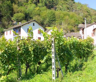 Cooperative new-build housing estate with 1½ - 3½ room apartments - Photo 2