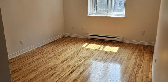 1 CH - 1 SDB - Montréal - $990 /mo - Photo 2