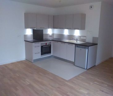 Location appartement 3 pièces, 70.34m², Antony - Photo 3