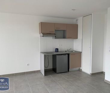 Location Appartement 2 pièces 40m² MONDONVILLE 31700 - Photo 3