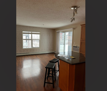 Fabulous 2 Bed 2 Bath Condo in Stonebridge - Photo 5