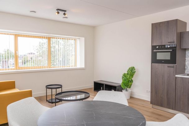 Te huur: Appartement Rosmolenplein in Tilburg - Photo 1