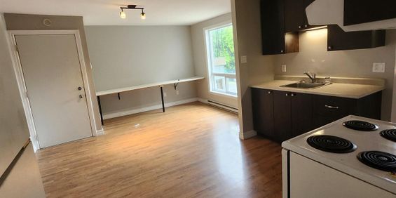 Immeuble - 101 7e Avenue Sud 3½ à Louer - Richmond - Photo 3