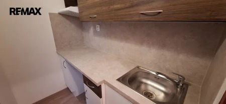 Pronájem bytu 1+kk, 20 m - Fotografie 3