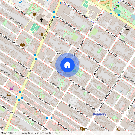 1322 Rue la Fontaine, Ville-Marie, H2L 1T3, Montréal