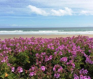 1980's Beach Front Beauty - Photo 2