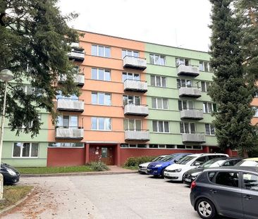 Pronájem bytu 1+kk 19 m² - Fotografie 4