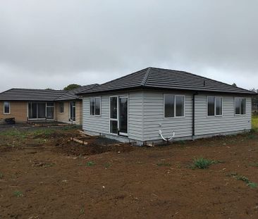 Multi-Generational Living - Near Completion! - Photo 4
