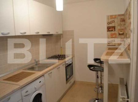 Apartament 1 camera, 40 mp, pet friendly, acces gradina, zona P-ta Cipariu - Fotografie 3