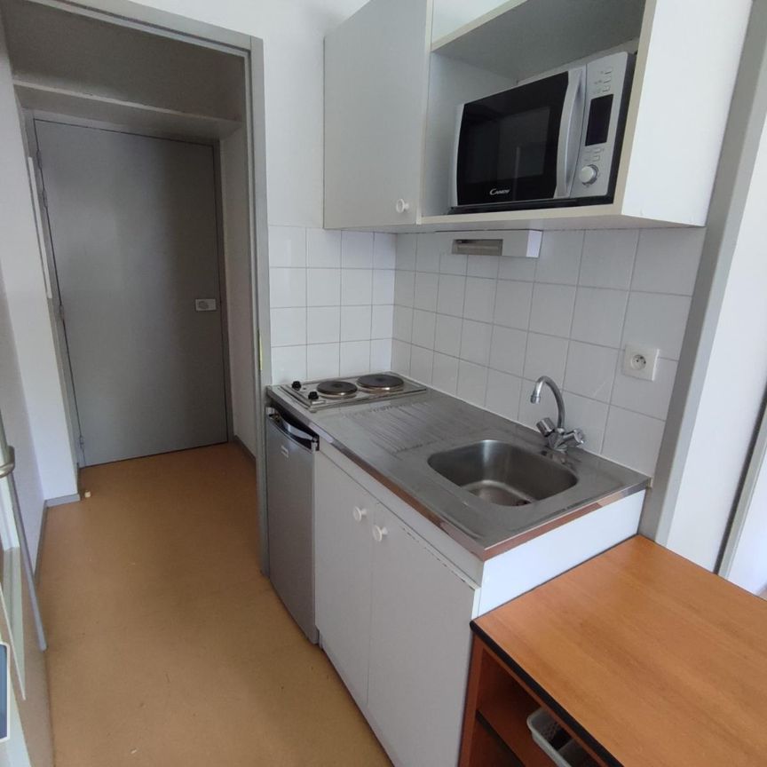 Location Appartement 1 pièce 18m² GIERES 38610 - Photo 1