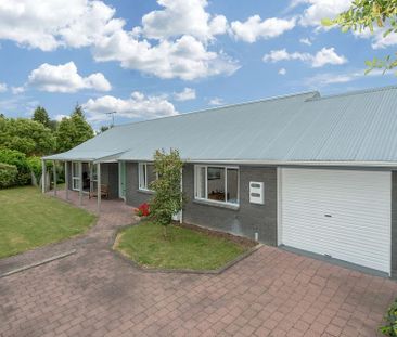 Sunny, Private Rental in Hamilton East - Photo 2