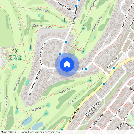 78 Panapa Drive, Saint Johns, Auckland City