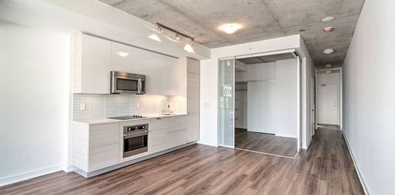 1+1 Bedroom, 1 Bathroom - 210 Simcoe - Photo 2