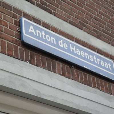 Anton de Haenstraat - Foto 1