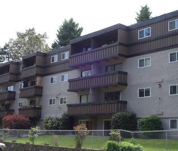 TOP FLOOR 1 Bdrm, $1,450.00 Avail Oct 1st. Early move-in possible!! - Photo 4