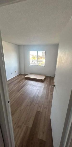 1 CH - 1 SDB - Côte Saint-Luc - $1,595 /mo - Photo 1