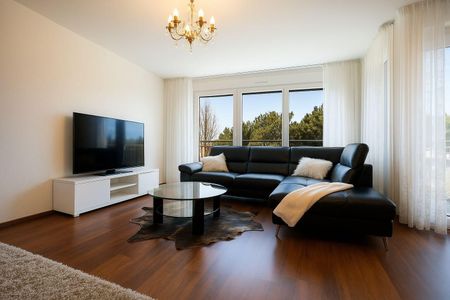 Appartement à louer, Grand' Rue, à Montreux, Suisse - Photo 5