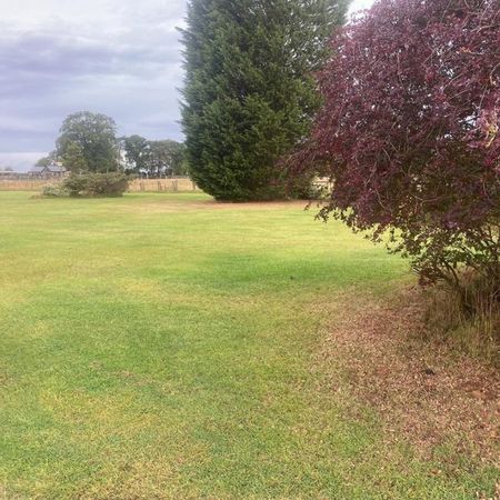 1 bedroom cottage to rent - Photo 4