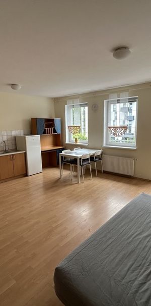 Kawalerka na wynajem, Poznań - Jeżyce - Zdjęcie 1