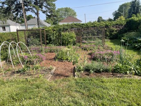 For Lease - 81 Burlingame Road, Toronto, Ontario - Photo 5