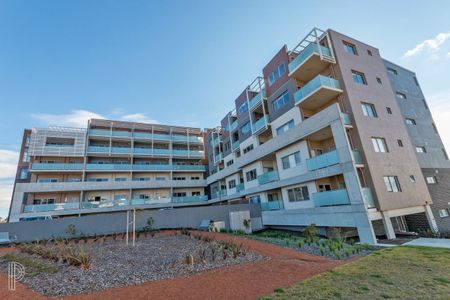 Modern one bedroom in Molonglo Valley - Photo 2