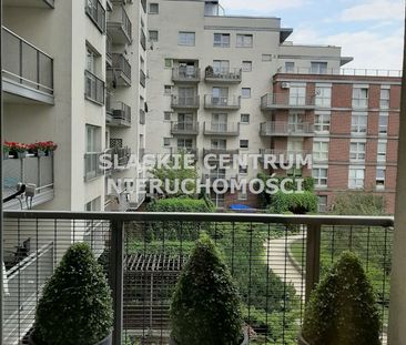 Dąb, Johna Baildona, Katowice - Photo 6