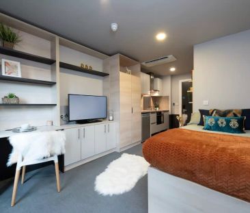 Premium Accessible Studio - Photo 4