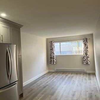 Exquisite, Newly Renovated Spacious Apartment in Ladner!! - Photo 3