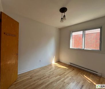 8060, Rue Saint-Dominique, Le Plateau-Mont-Royal à louer - Photo 6