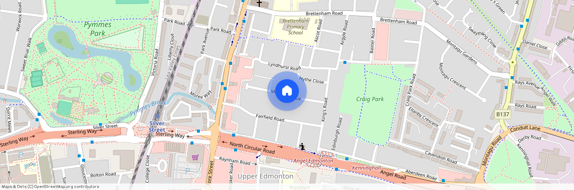 Morley Avenue, London