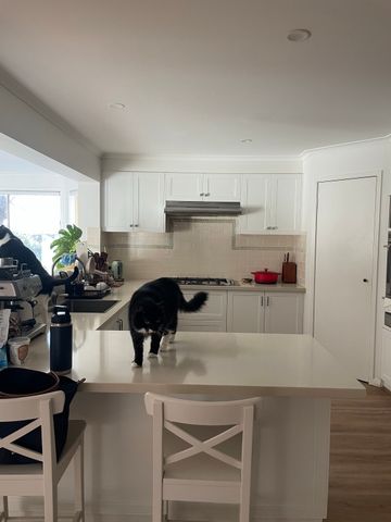 Castle Hill - Photo 4