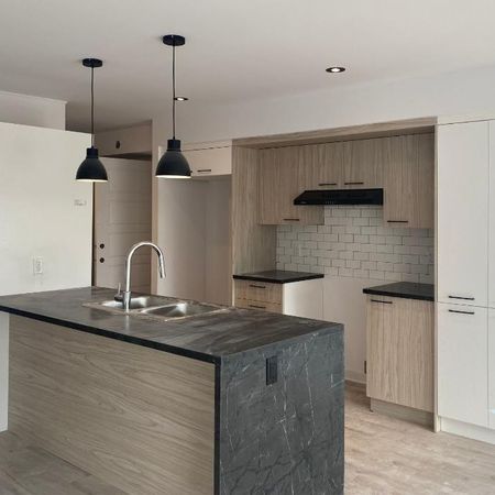 Logement 5 1/2 - janvier 2026 - Saint-Jérôme - Photo 3