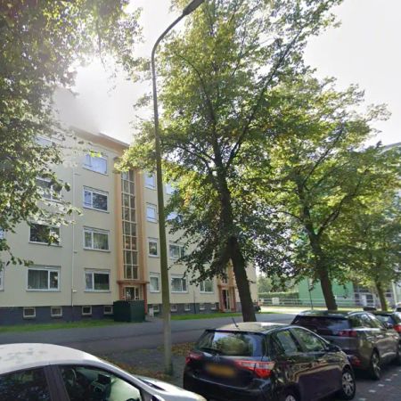 Appartement Steenwijklaan, La Haye - Morgenstond - À louer - Photo 3