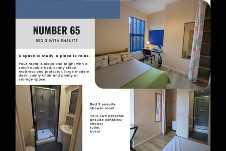 4 Bed Terraced House, Sir Thomas Whites Road, CV5 - Photo 4