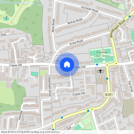 Birch Lodge, 21 Copse Hill, London, SW20