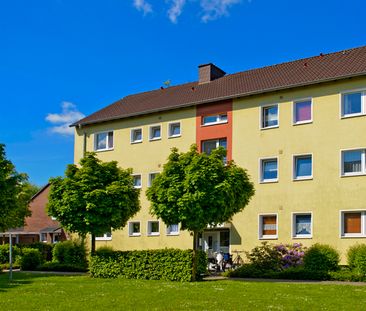 Ihr neues Zuhause: 3 Zimmer in Ahlen sofort bezugsfrei! - Photo 6