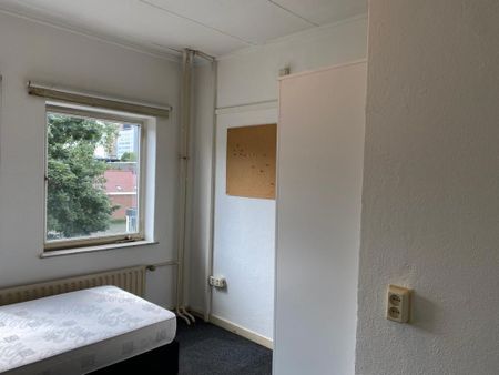 Te huur: Kamer Nieuwe Fellenoord in Eindhoven - Foto 5