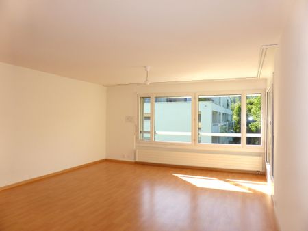 Attikawohnung mit grosser Dachterrasse - Foto 2