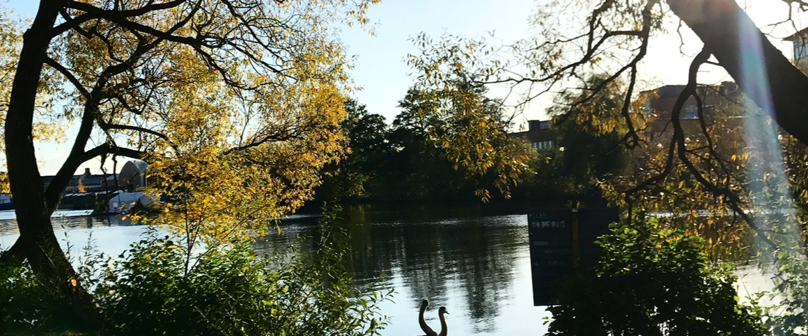 Lötsjövägen, Sundbyberg - Photo 1