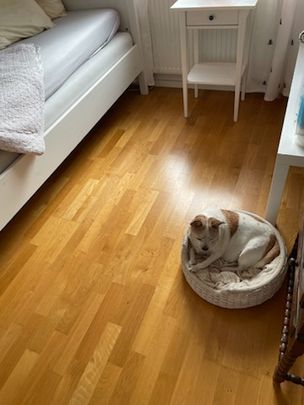 Frisells gata, Upplands Väsby - Photo 1