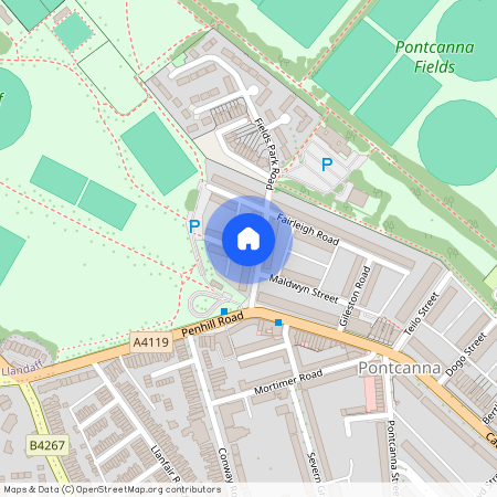 Fields Park Road, CF11 9JP, Cardiff